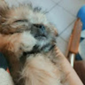 Meet your Posher, Pamela